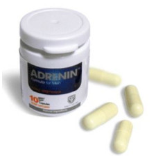 아드레닌 1각[30P]